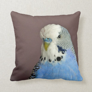  blauwe parkiet foto kussen