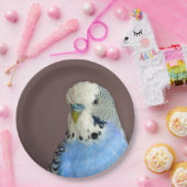  blauwe parkiet foto papieren bordje (Feest)