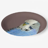  blauwe parkiet foto papieren bordje (Gekanteld)