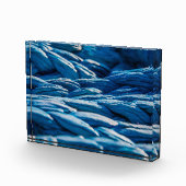 Blauwe paus fotoblokken (Rechts)