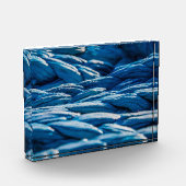 Blauwe paus fotoblokken (Links)