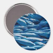 Blauwe paus magneet (Voorkant / Achterkant)