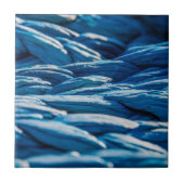 Blauwe paus tegeltje (Voorkant)