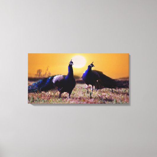 Blauwe pauw canvas afdruk (Voorkant)