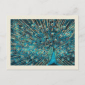 blauwe pauw met losse staart briefkaart (Voorkant)