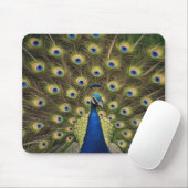 Blauwe Pauw Muismat (Met muis)