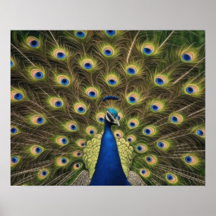 Blauwe Pauw Poster