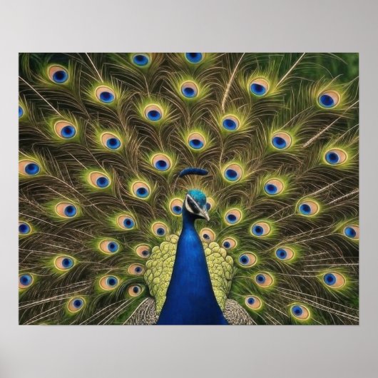 Blauwe Pauw Poster (Voorkant)