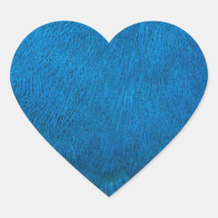 Blauwe pauwenveren hart sticker
