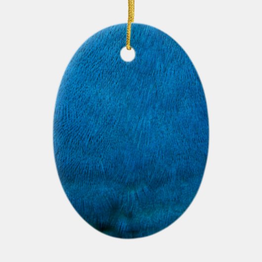Blauwe pauwenveren keramisch ornament (Voorkant)