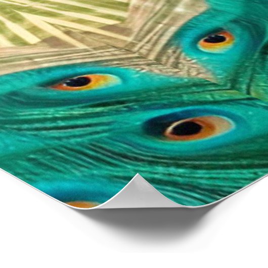 Blauwe peacock in gras poster (Hoek)