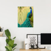 Blauwe peacock in gras poster (Thuiskantoor)