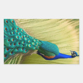Blauwe peacock in gras rechthoekige sticker (Voorkant)
