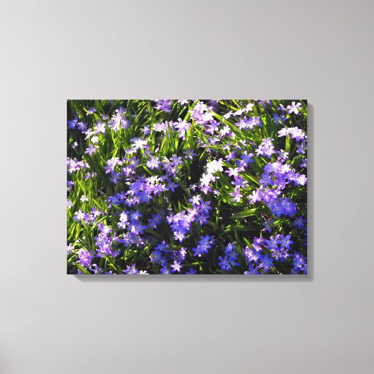Blauwe pekelbloemen canvas afdruk (Voorkant)