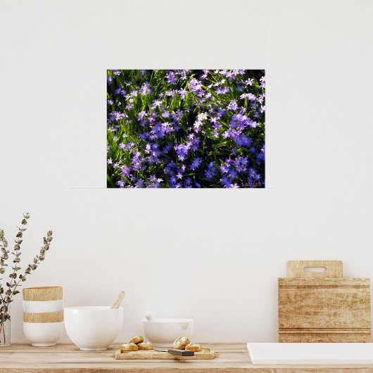 Blauwe pekelbloemen poster (Keuken)