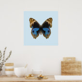 Blauwe Penseelvlinder Poster (Keuken)