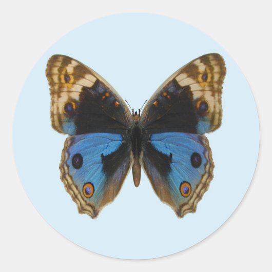 Blauwe Penseelvlinder Ronde Sticker (Voorkant)