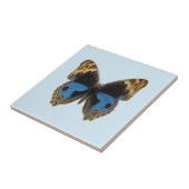 Blauwe Penseelvlinder Tegeltje (Zijkant)