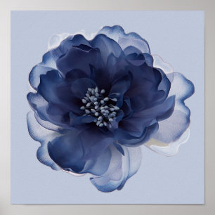 BLAUWE Pioen ROOS Poster