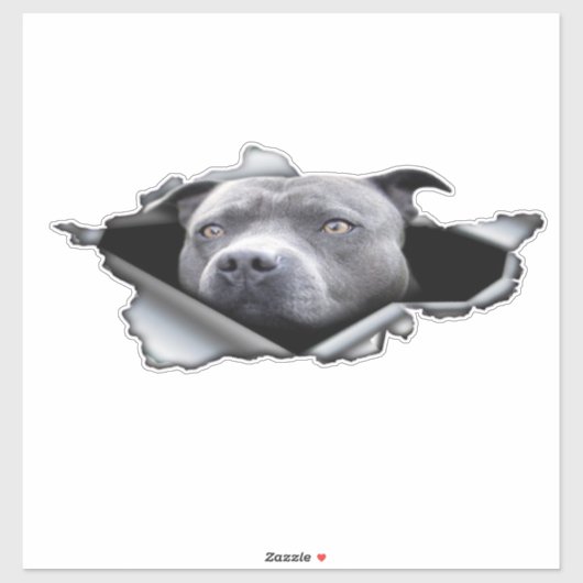 Blauwe Pitbull-autowrak, autodecoratie, sticker (Vel)