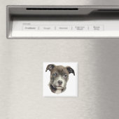 Blauwe Pitbull Magneet (Insitu (Vaatwasser))
