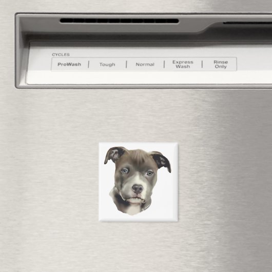Blauwe Pitbull Magneet (Insitu (Vaatwasser))