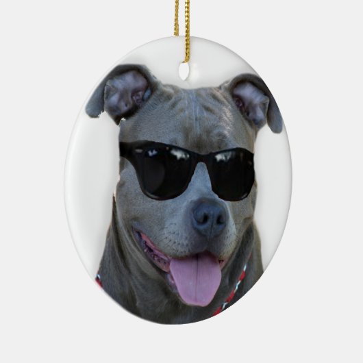 Blauwe pitbull met bril keramisch ornament (Rechts)