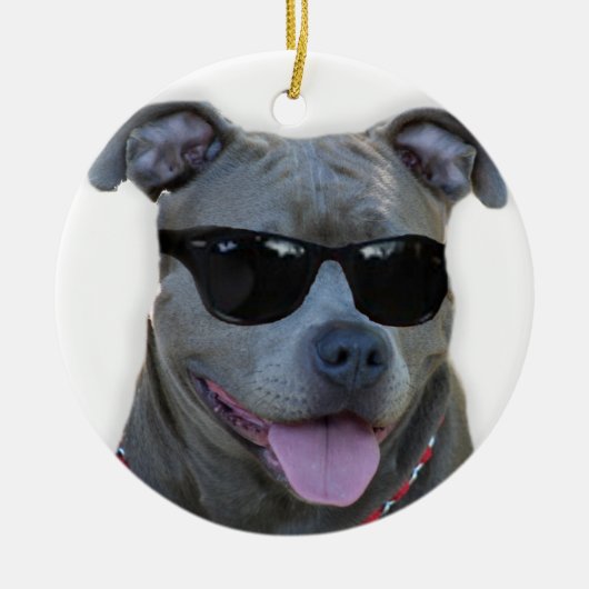 Blauwe pitbull met bril keramisch ornament (Voorkant)