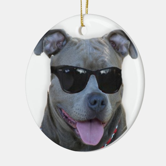 Blauwe pitbull met bril keramisch ornament (Links)