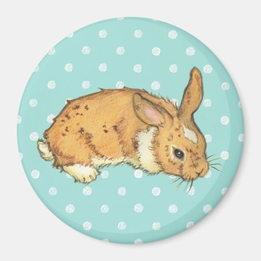 Blauwe Polka Dot Bunny Magneet (Voorkant)