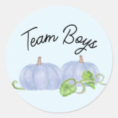 Blauwe pompoen tweeling gender onthullen Team Boys Ronde Sticker (Voorkant)
