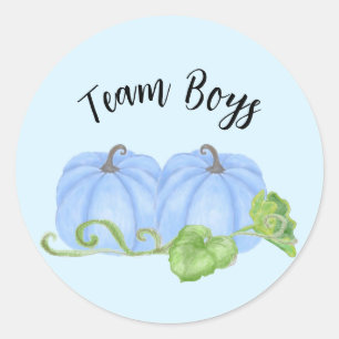 Blauwe pompoen tweeling geslacht onthulling Team J Ronde Sticker