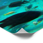 Blauwe pool van cichlids die rond het ontwerp zwem poster (Hoek)