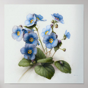 Blauwe Primrose Bloemen Art Print Poster