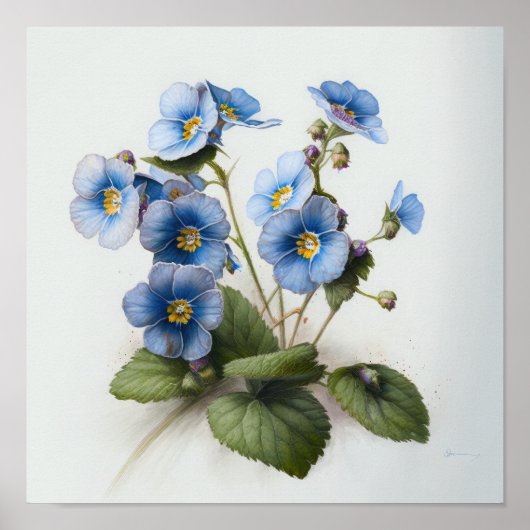 Blauwe Primrose Bloemen Art Print Poster (Voorkant)