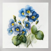 Blauwe Primrose Bloemen Art Print Poster (Voorkant)