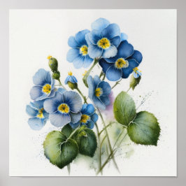 Blauwe Primrose Bloemen Art Print Poster