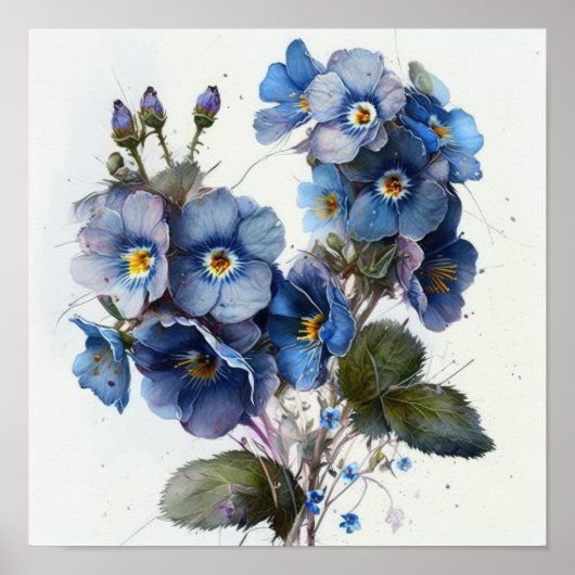 Blauwe Primrose Bloemen Art Print Poster (Voorkant)