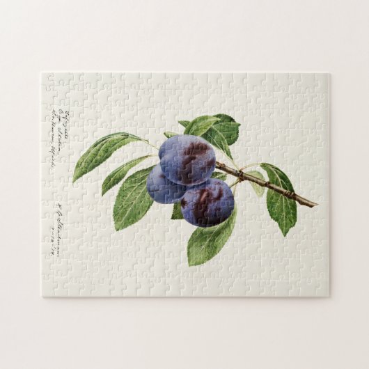 Blauwe pruimen (Prunus Domestica) Legpuzzel (Horizontaal)