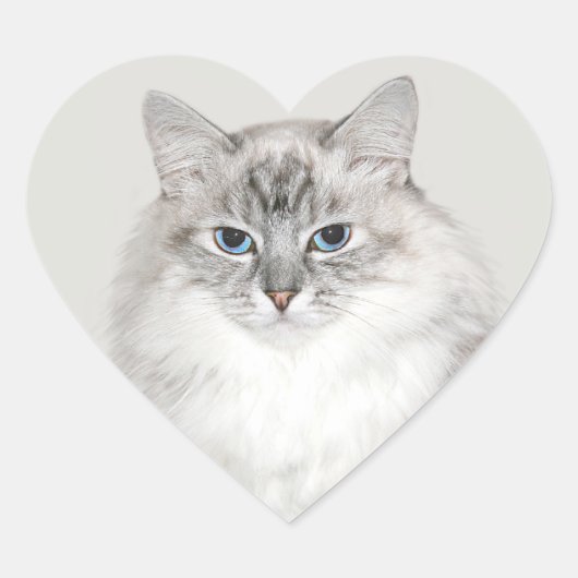 Blauwe puntkat hart sticker (Voorkant)