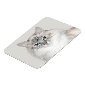 Blauwe puntkat magneet (Linkerzijde)