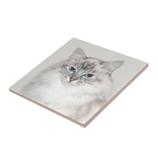 Blauwe puntkat tegeltje (Zijkant)