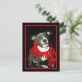 Blauwe puppy briefkaart (Staand voorkant)