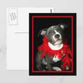 Blauwe puppy briefkaart (Voorkant / Achterkant)