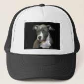 Blauwe puppy trucker pet (Voorkant)