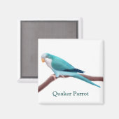 Blauwe Quaker Parrot magneet (Voorkant / Achterkant)