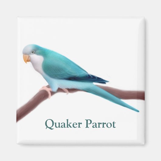 Blauwe Quaker Parrot magneet (Voorkant)