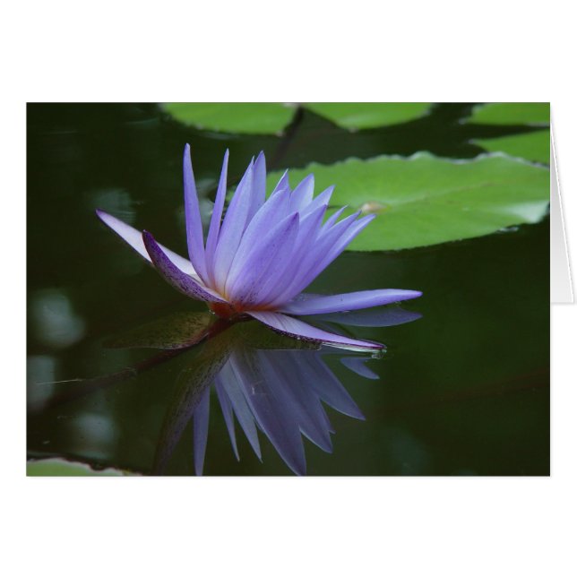 Blauwe reflecties (Voorkant Horizontaal)