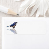 Blauwe reflecties etiket (Insitu)