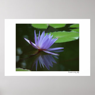 Blauwe reflecties poster